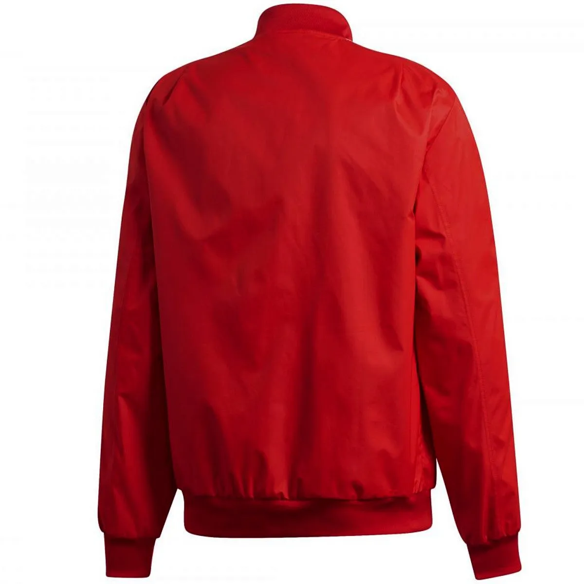 Bayern Munich pre-match presentation Soccer jacket 2020/22 - Adidas